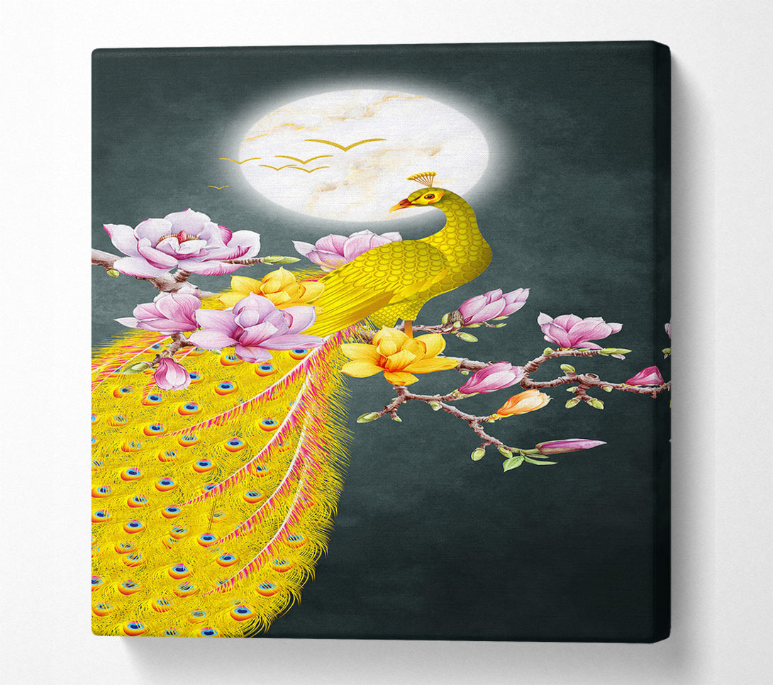  A Canvas Print of Blossom Peacock Canvas Art