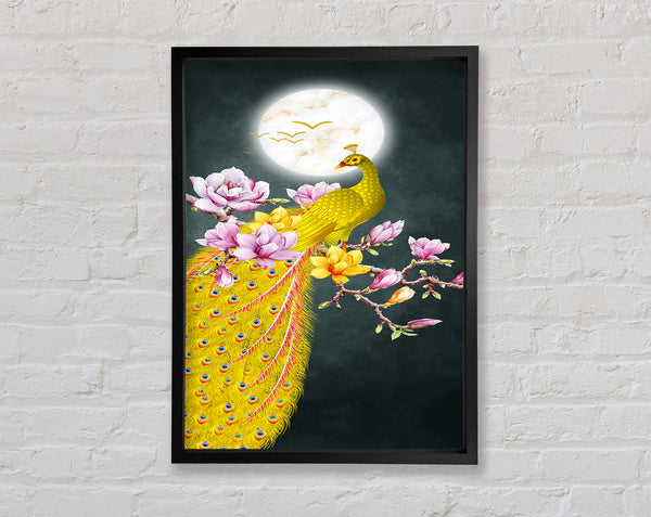 Blossom Peacock Framed Print