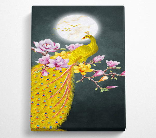  A Canvas Print of Blossom Peacock Canvas Art