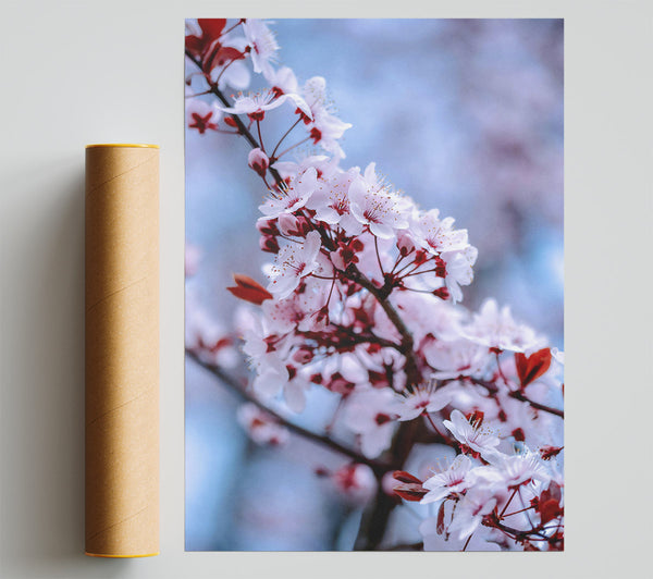 Crimson Blossom Bloom Giclee Print