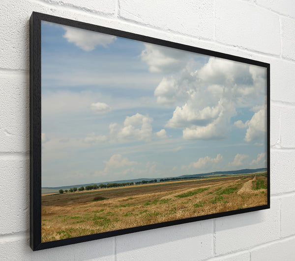 Golden Field Cloudscape