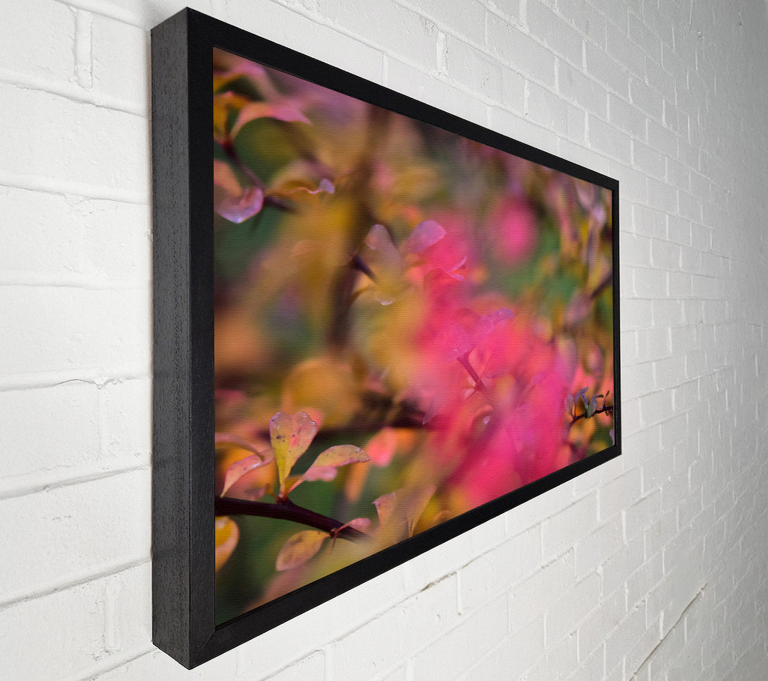  A Canvas Print of Pink Autumn Leaves Canvas Art