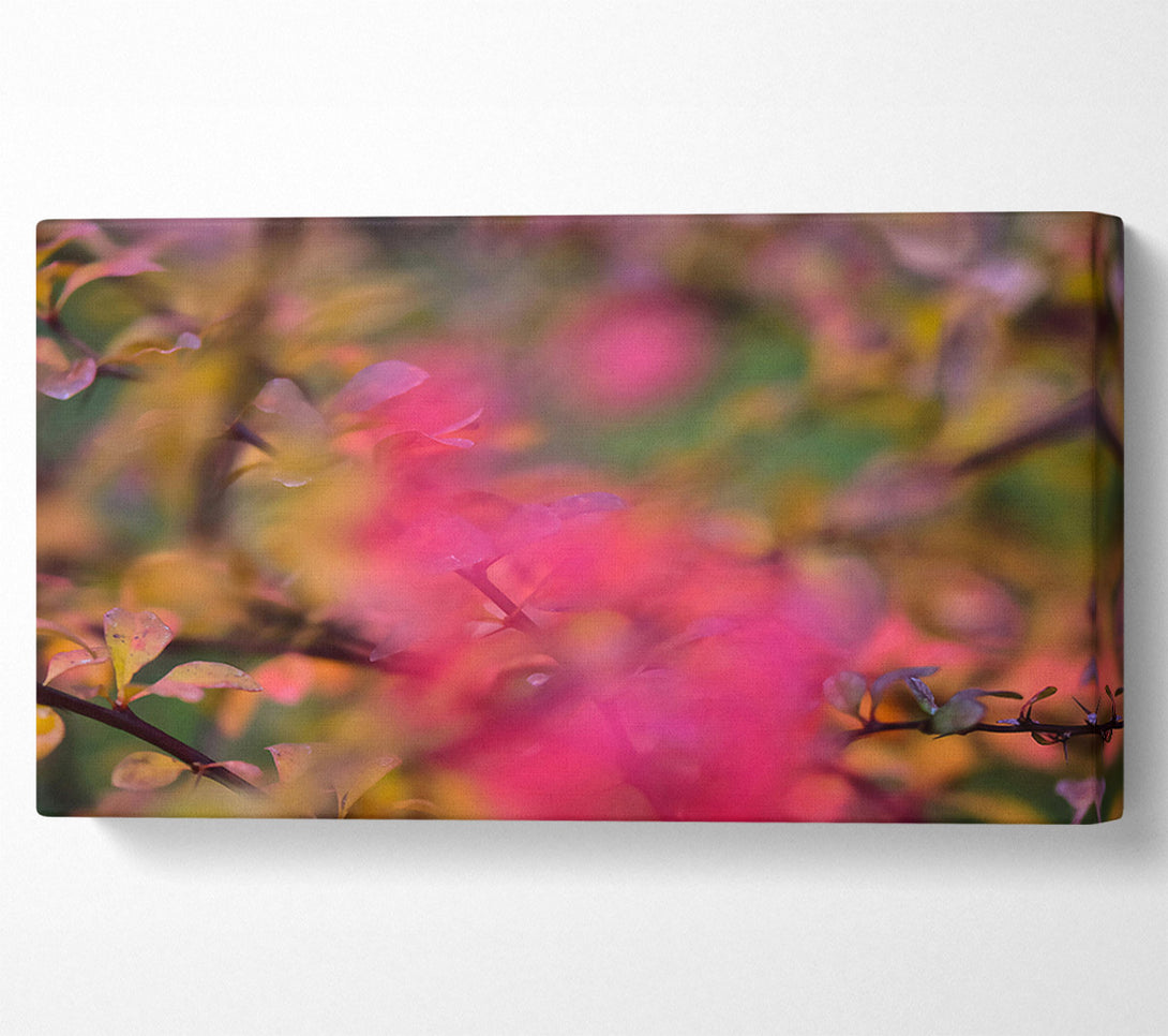  A Canvas Print of Pink Autumn Leaves Canvas Art