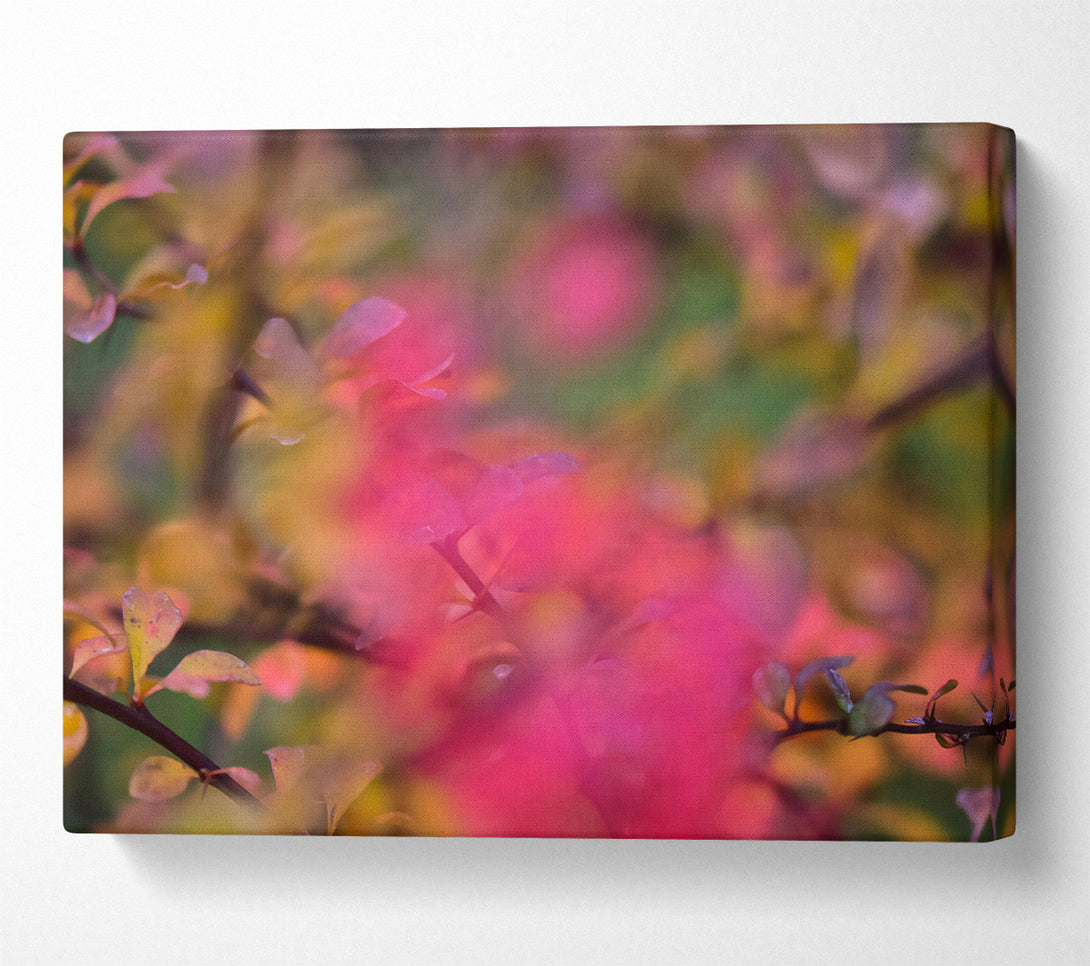  A Canvas Print of Pink Autumn Leaves Canvas Art