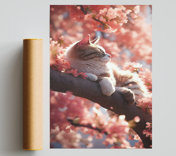 Pink Blossom Cat Nap Giclee Print