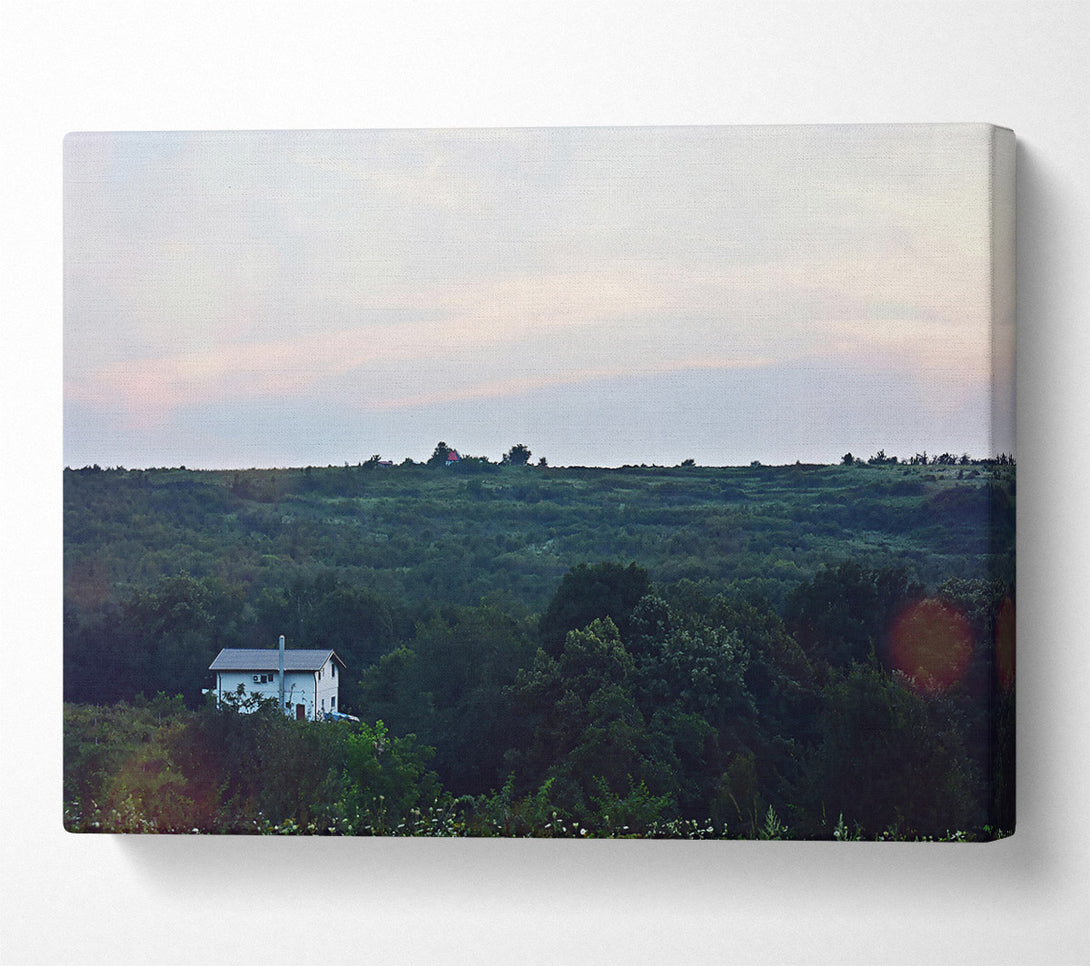  A Canvas Print of Pink Sky Solitude Canvas Art