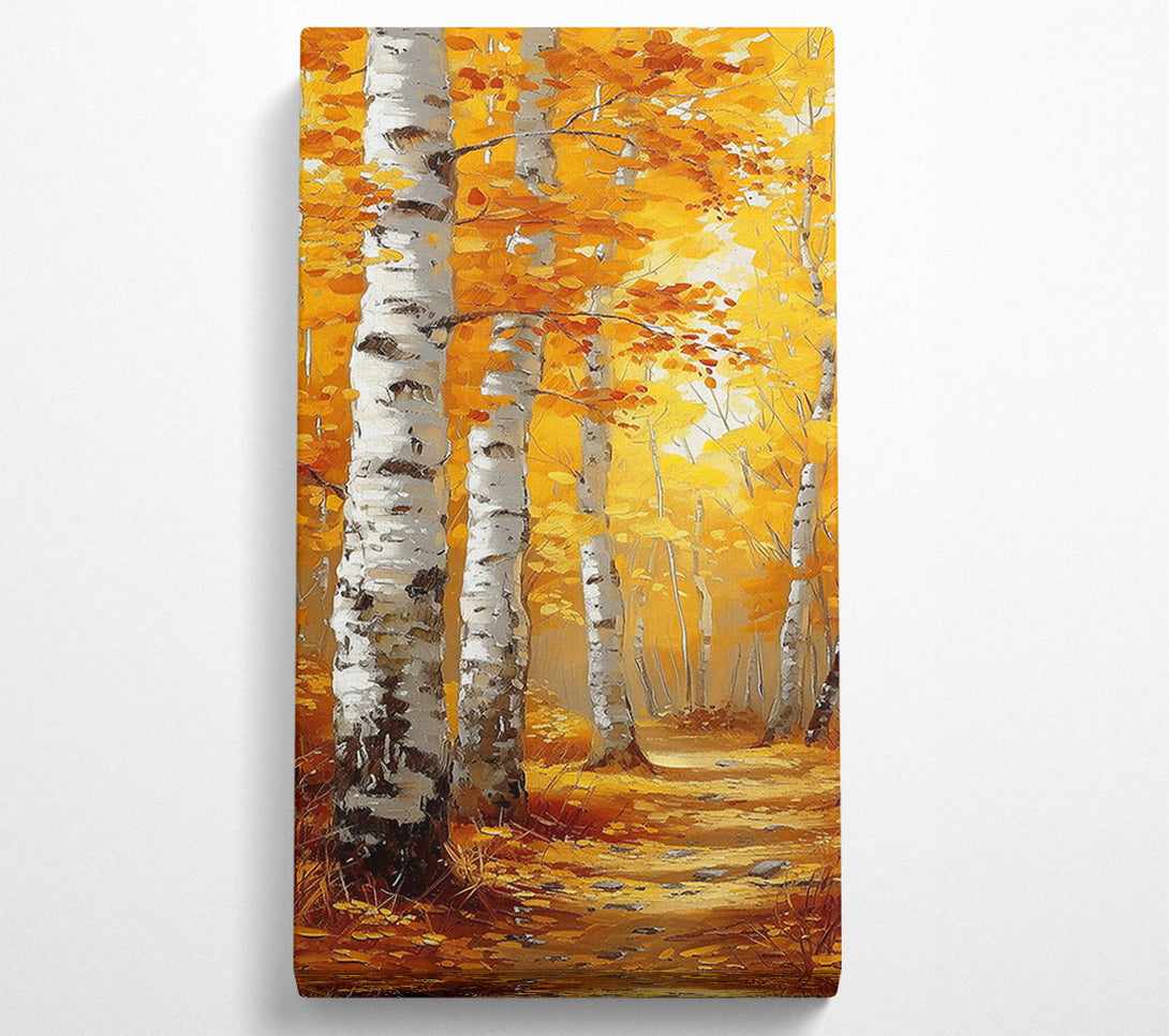  A Canvas Print of Golden Birch Grove Canvas Art