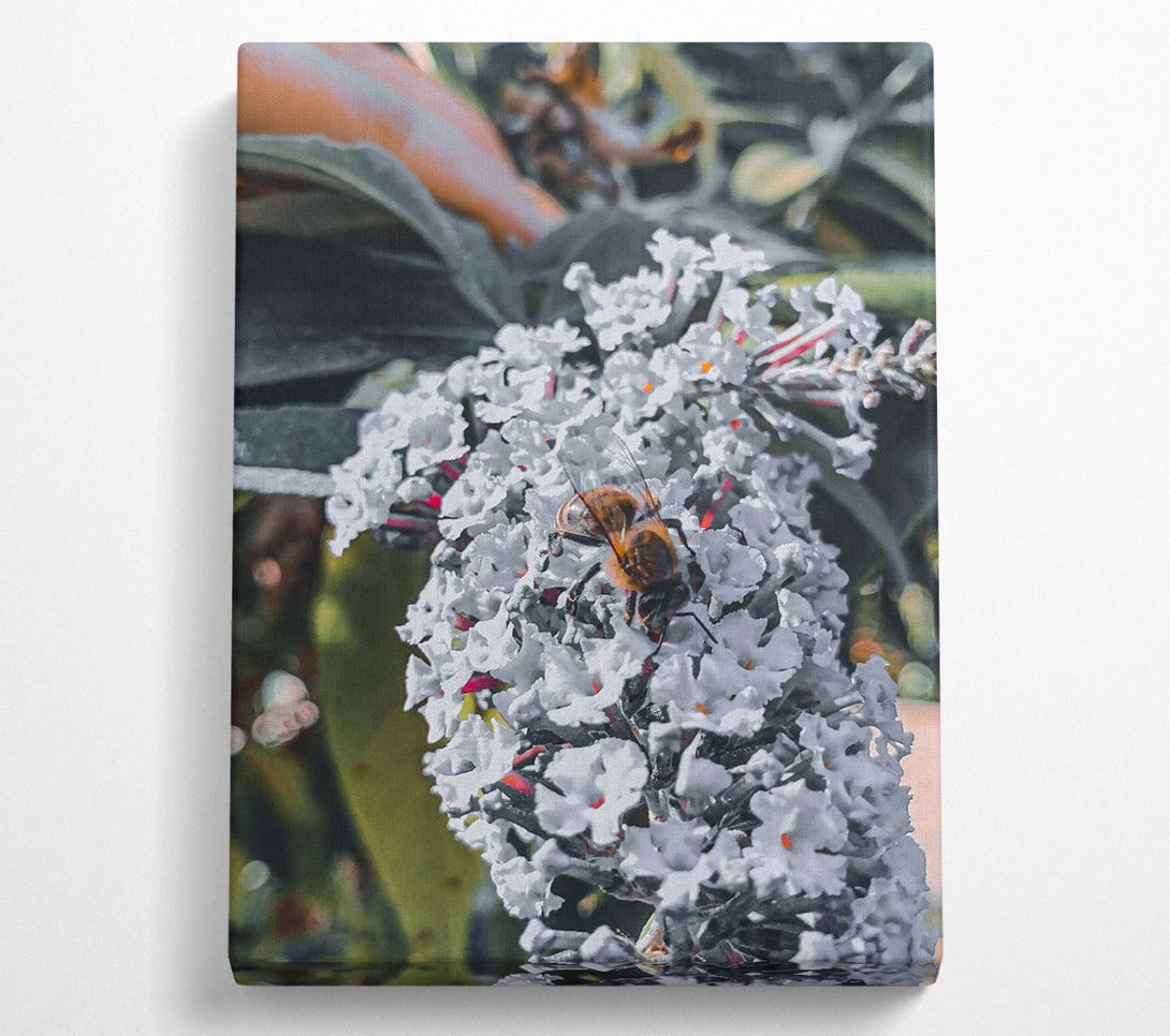  A Canvas Print of Loading... Canvas Print
