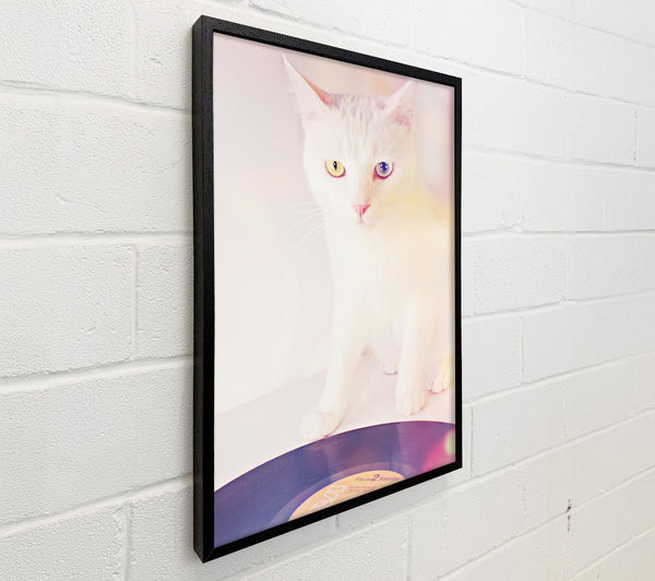 Pink Cat Vinyl