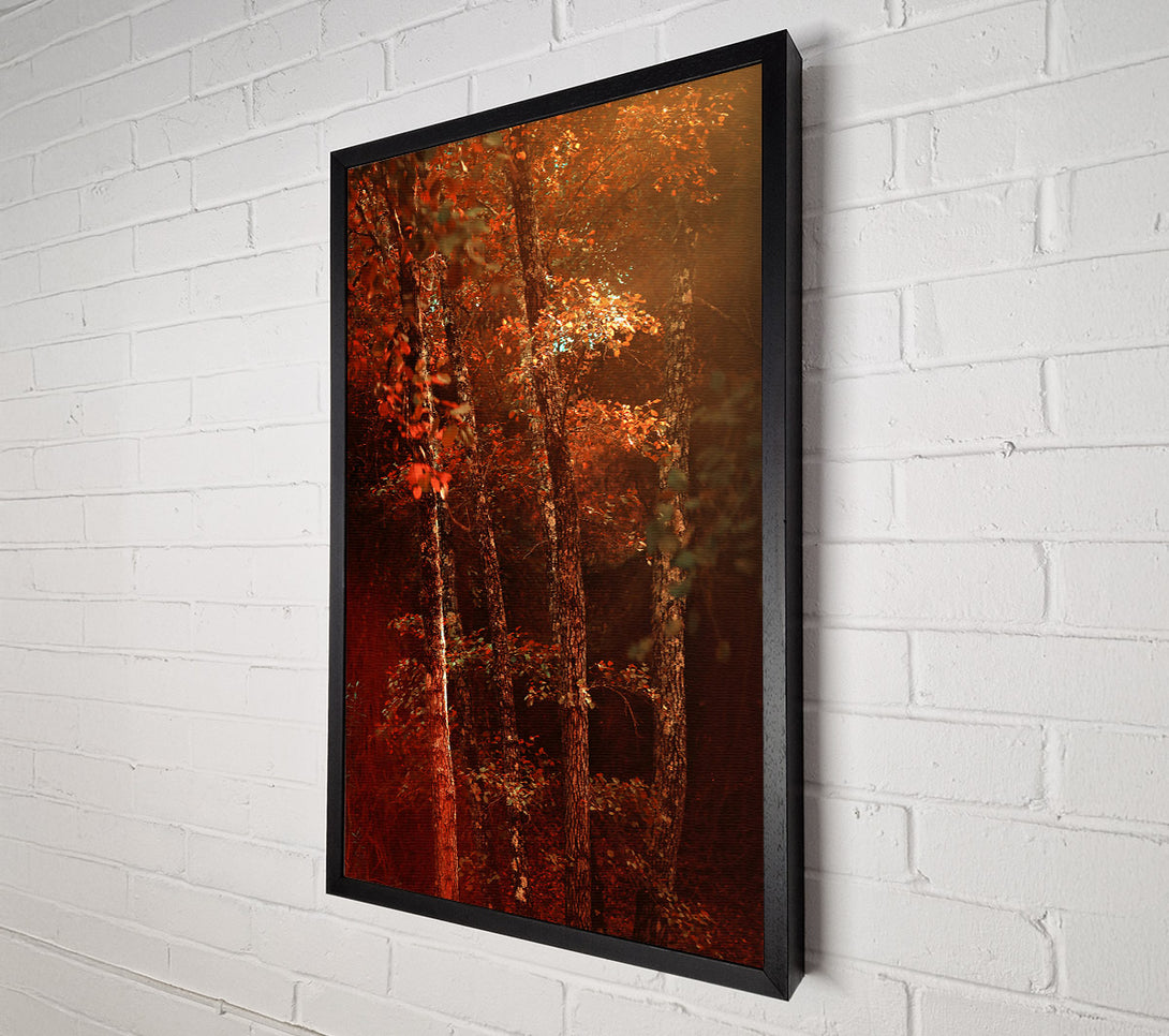  A Canvas Print of Crimson Forest Glow Canvas Print