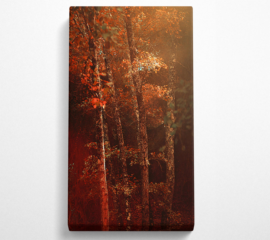  A Canvas Print of Crimson Forest Glow Canvas Print