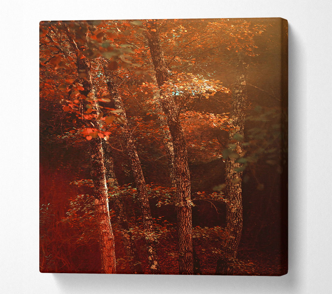  A Canvas Print of Crimson Forest Glow Canvas Print