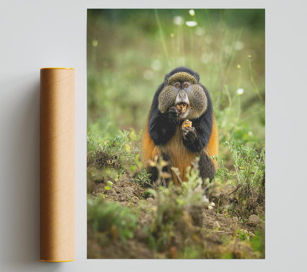 Golden Furry Feast Giclee Print