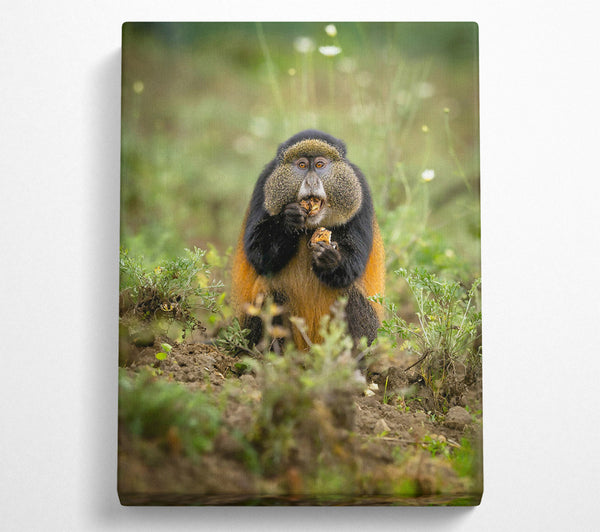  A Canvas Print of Golden Furry Feast Canvas Art