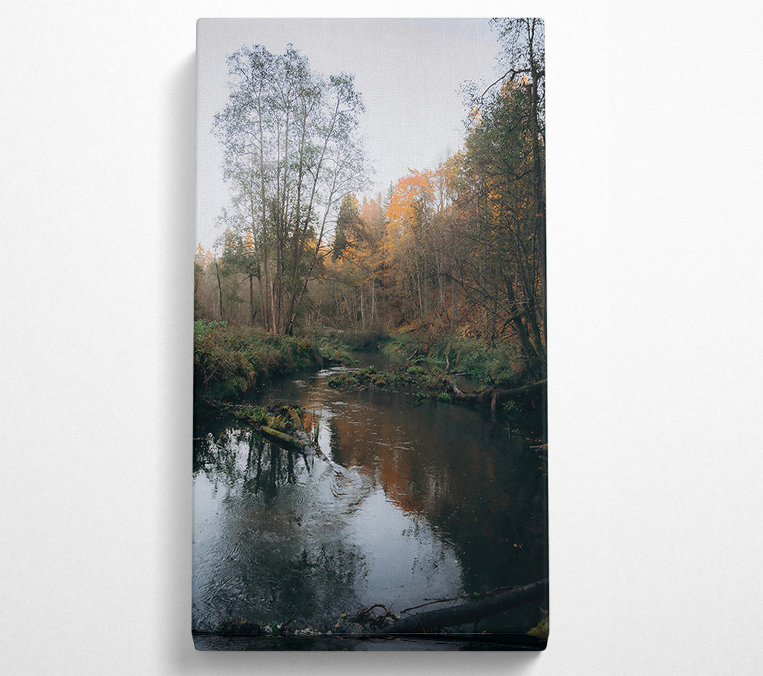  A Canvas Print of Golden River Reflections Canvas Print