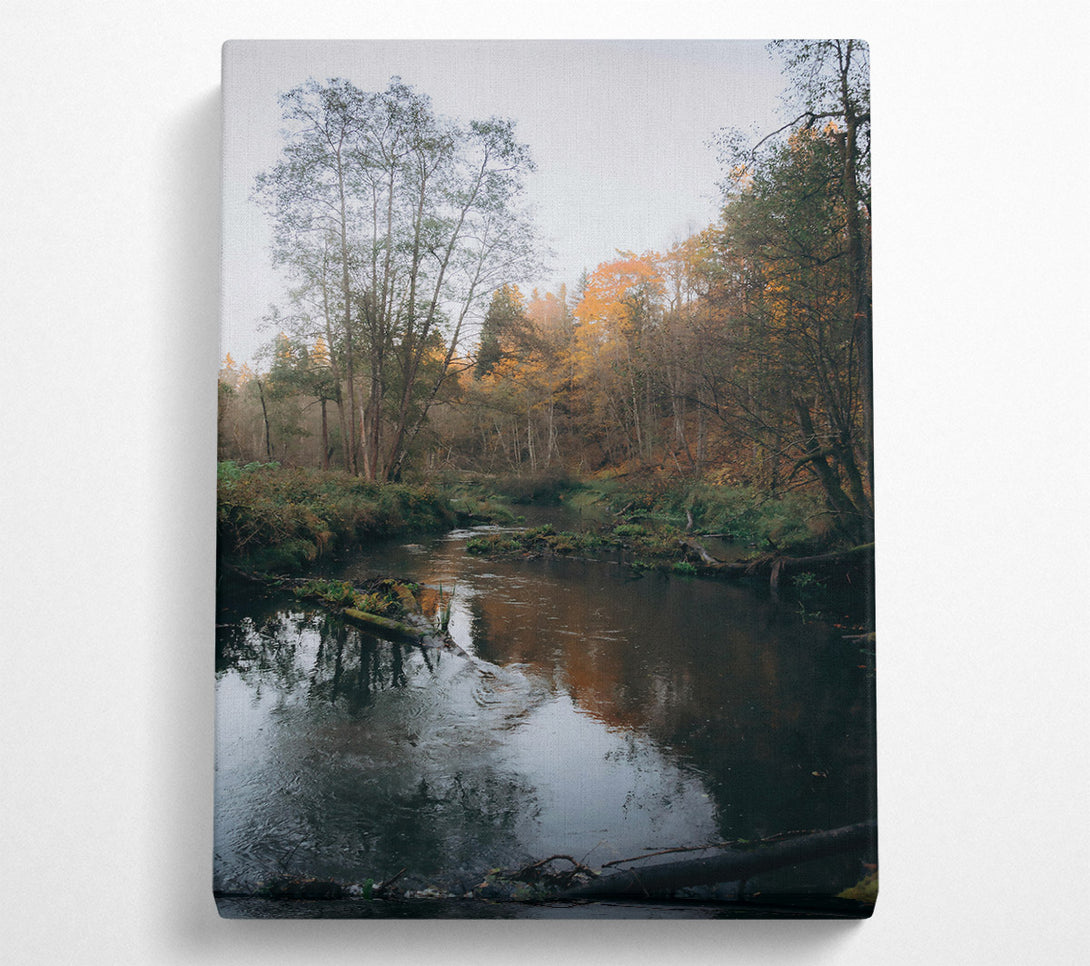 A Canvas Print of Golden River Reflections Canvas Print