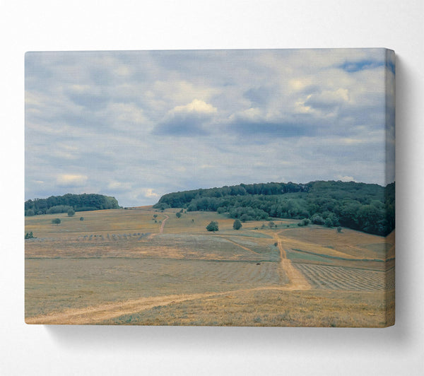  A Canvas Print of Golden Fields And Clouds Canvas Wall Art