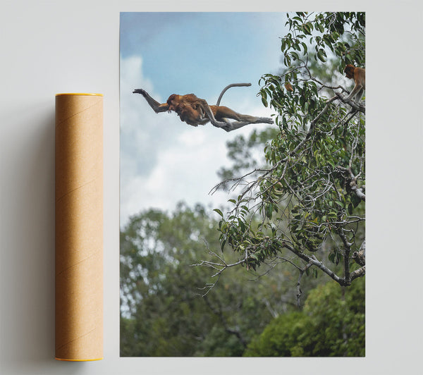Brown Leaping Proboscis Print