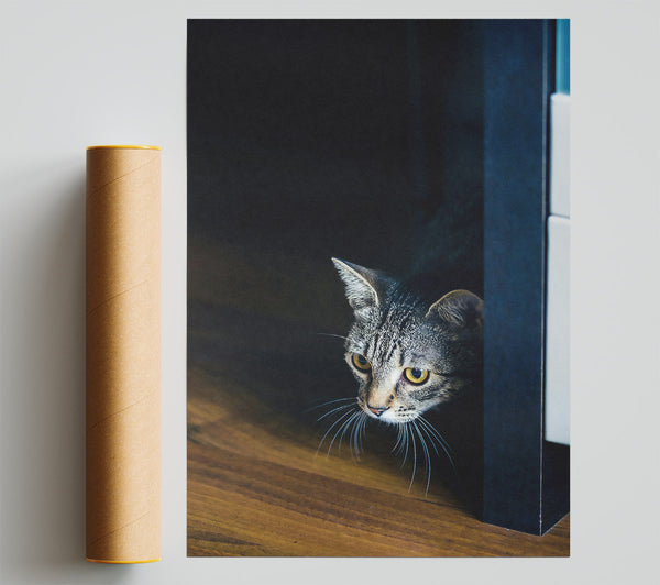 Yellow-Eyed Shadow Poster