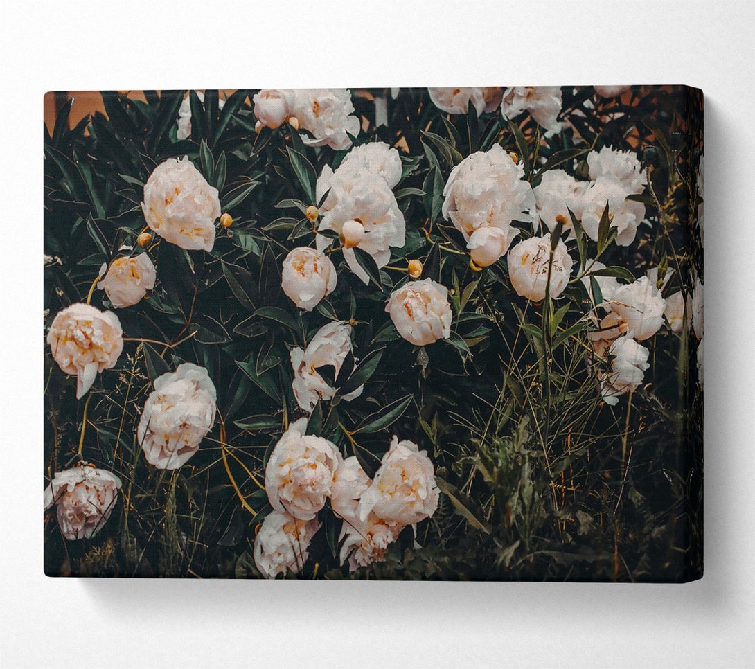  A Canvas Print of Loading... Canvas Print