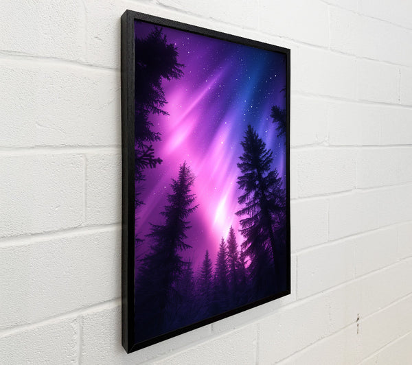 Blue And Purple Aurora
