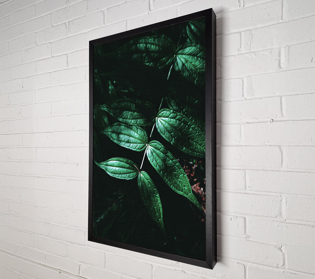  A Canvas Print of Emerald Green Shadows Canvas Art