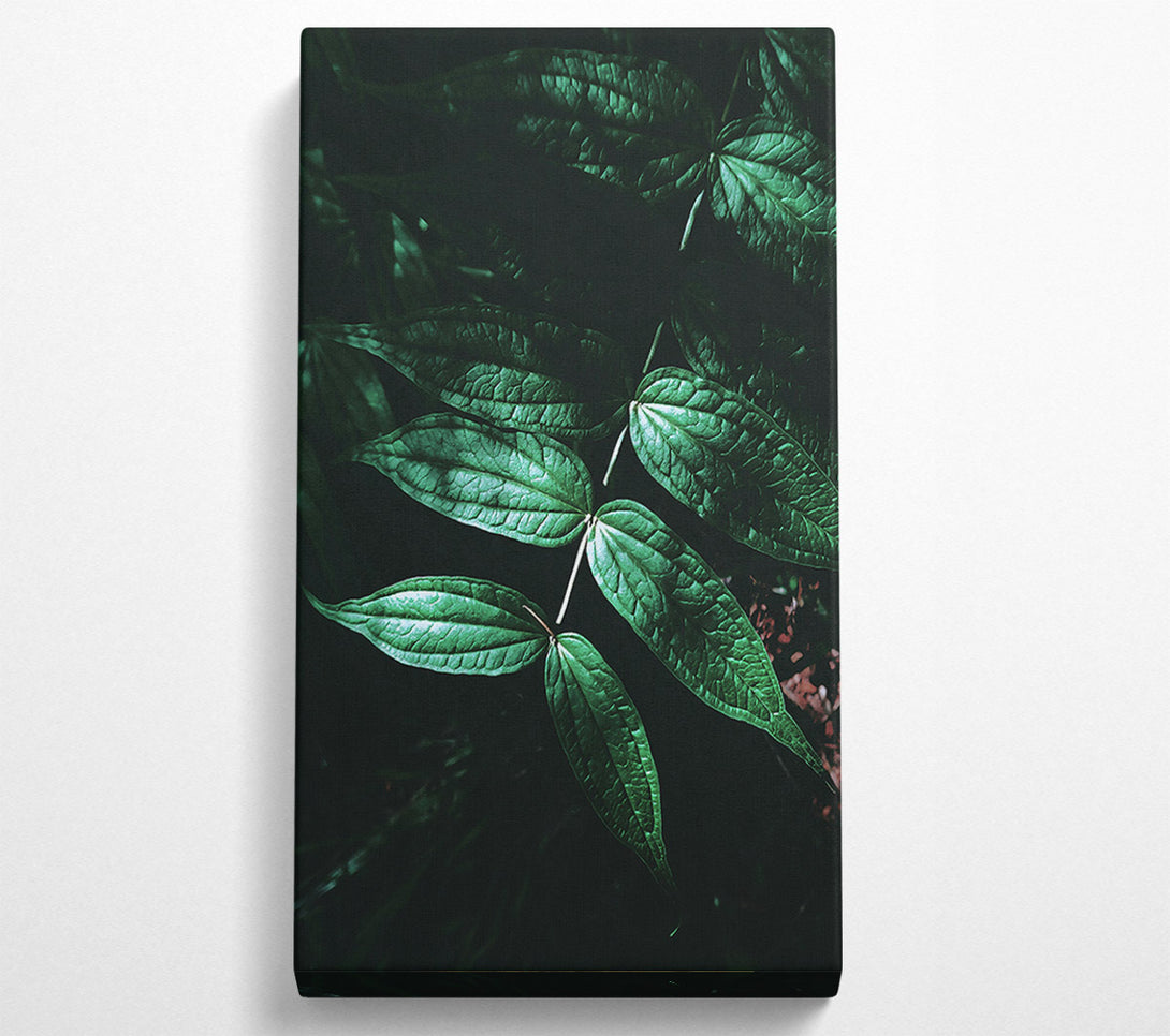  A Canvas Print of Emerald Green Shadows Canvas Art