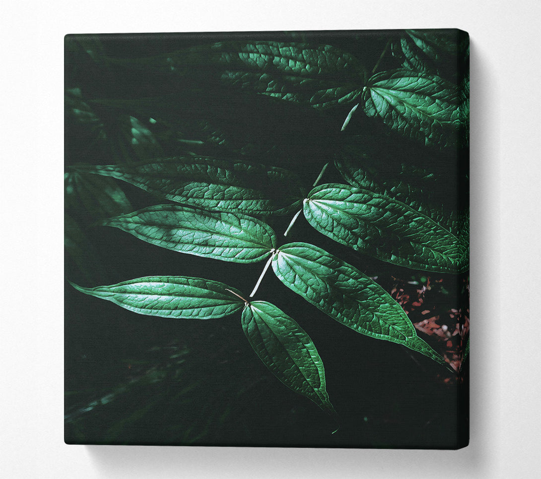  A Canvas Print of Emerald Green Shadows Canvas Art