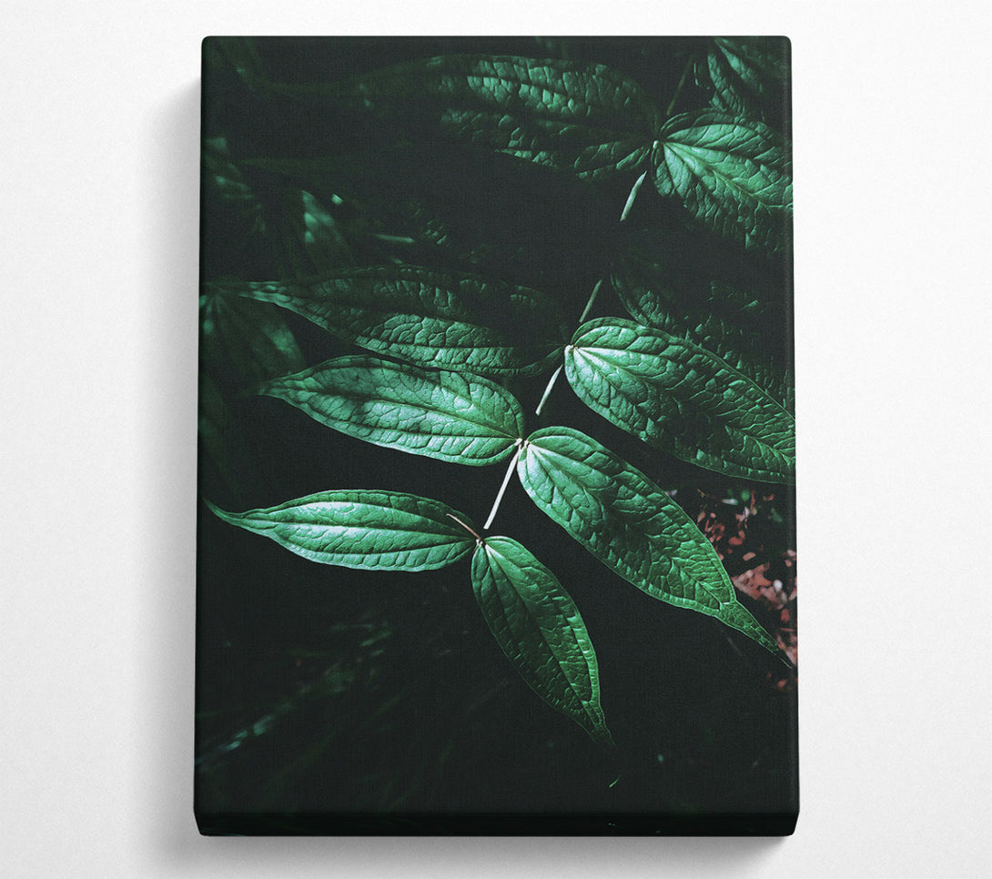  A Canvas Print of Emerald Green Shadows Canvas Art