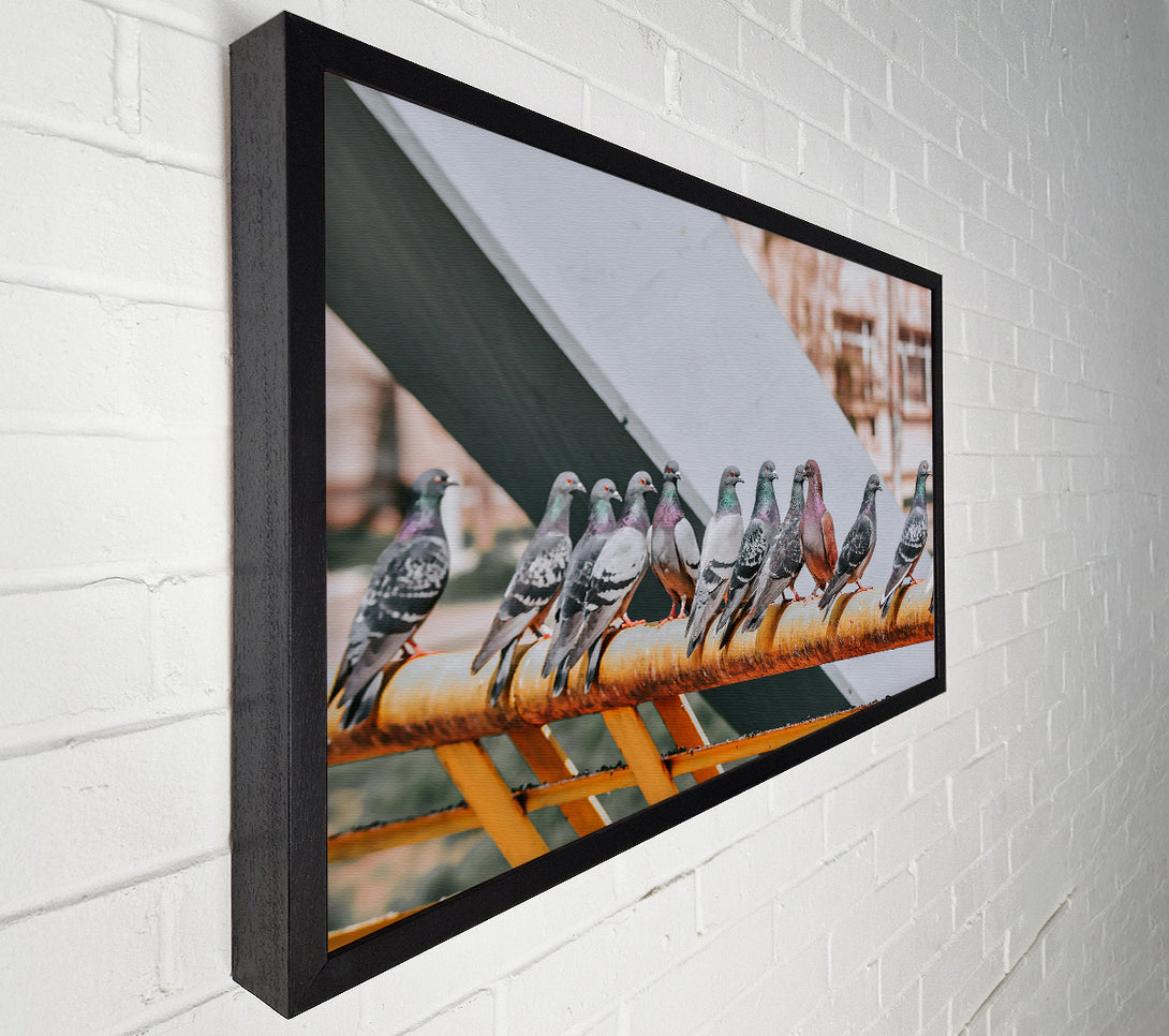  A Canvas Print of Rusty Railing Pigeons Canvas Wall Art
