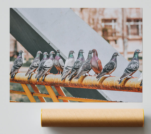 Rusty Railing Pigeons Print