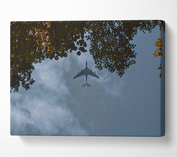  A Canvas Print of Skyward Blue Flight Canvas Wall Art