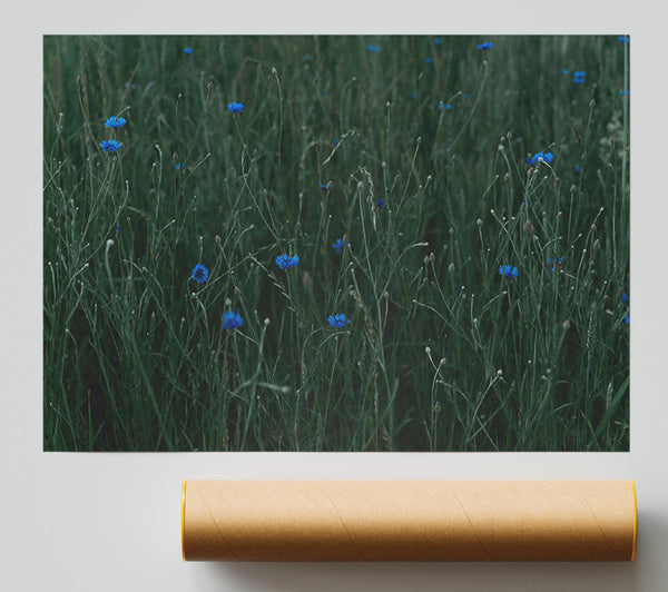 Blue Blooms In Green Giclee Print