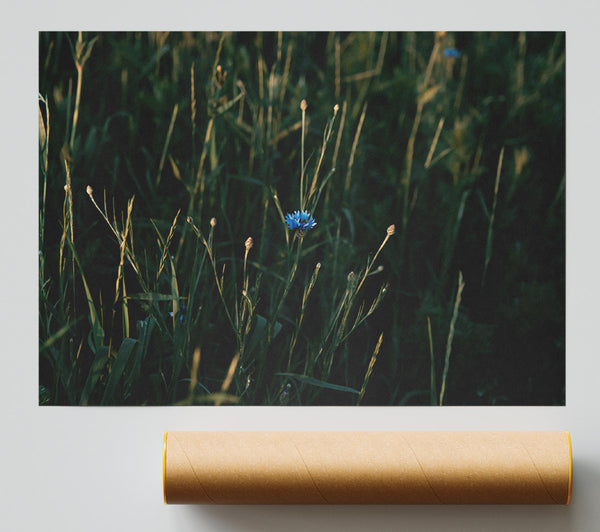 Blue Bloom In Green Poster