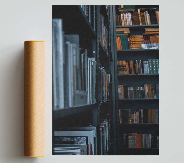 Black And White Bookshelves Print