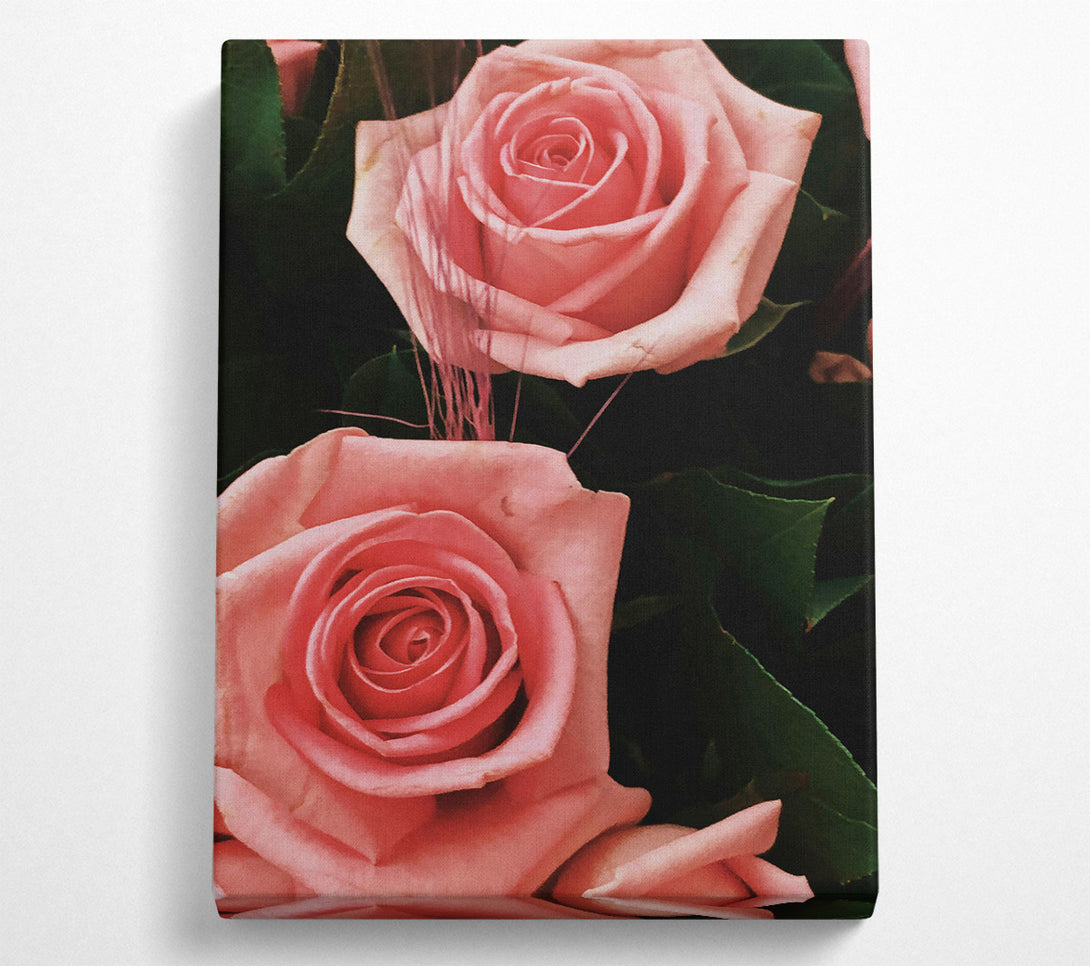  A Canvas Print of Blush Rose Bouquet Canvas Wall Art