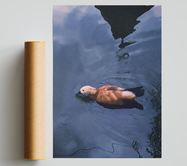 Blue Water, Brown Duck Giclee Print