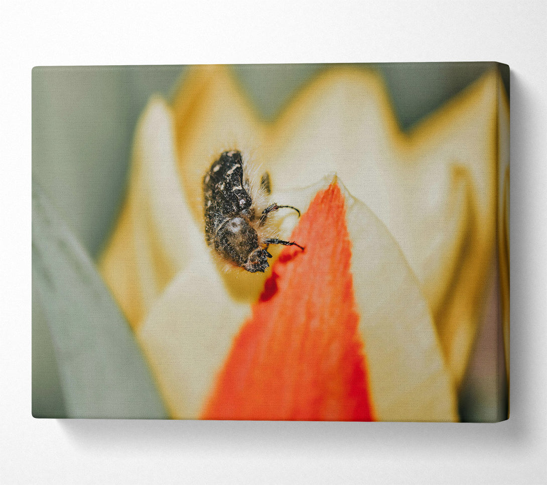  A Canvas Print of Loading... Canvas Print