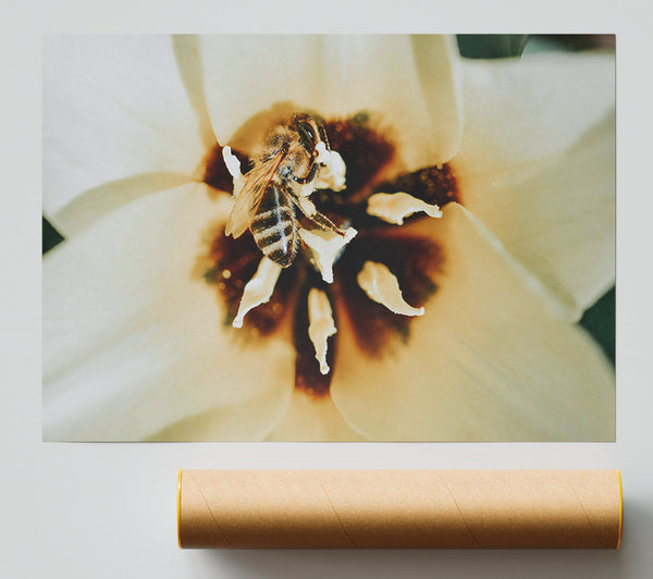Golden Bee Pollenation Print