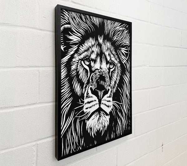 Black Lion Gaze