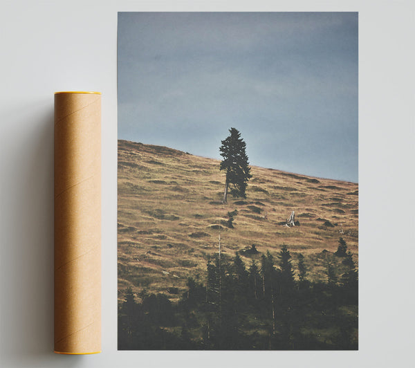 Golden Hillside Solitude Poster