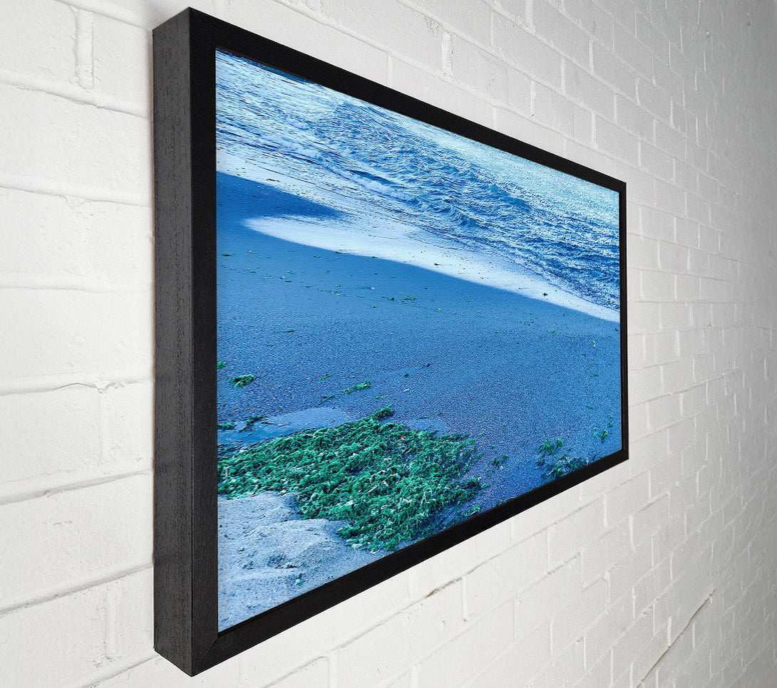  A Canvas Print of Azure Seaweed Shore Canvas Wall Art