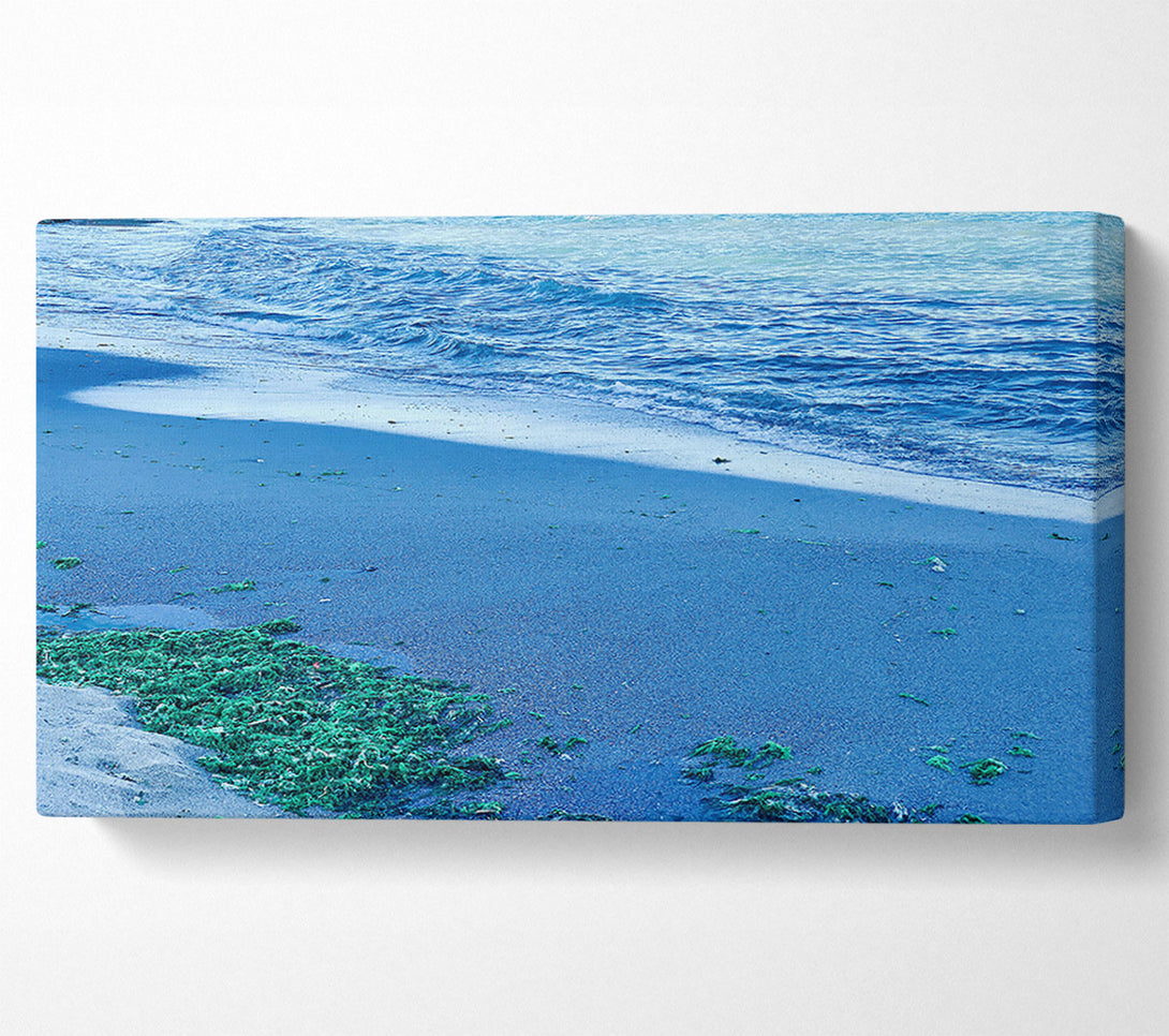  A Canvas Print of Azure Seaweed Shore Canvas Wall Art