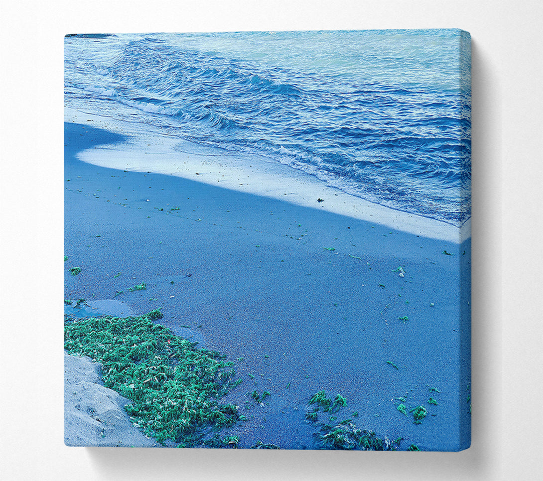  A Canvas Print of Azure Seaweed Shore Canvas Wall Art
