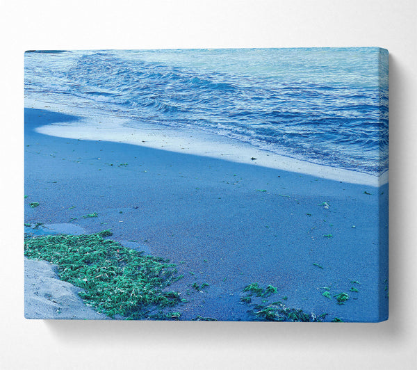  A Canvas Print of Azure Seaweed Shore Canvas Wall Art