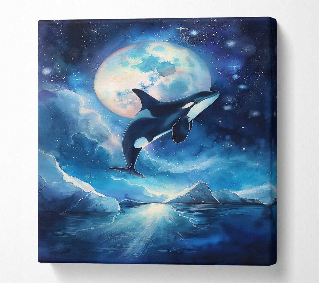  A Canvas Print of Blue Moon Orca Leap Canvas Art