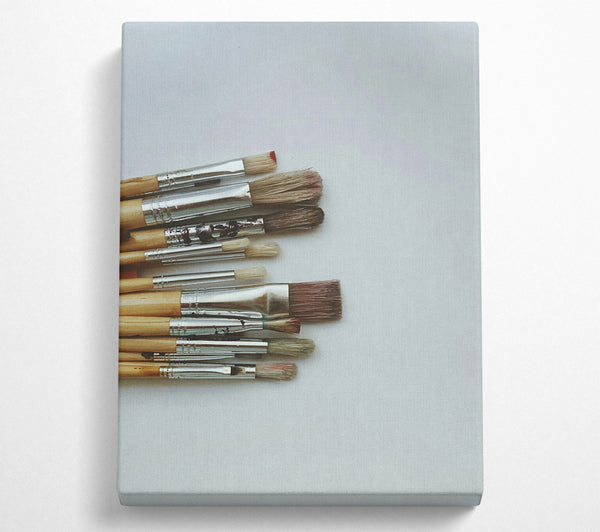  A Canvas Print of Brown Bristle Brushes Canvas Print