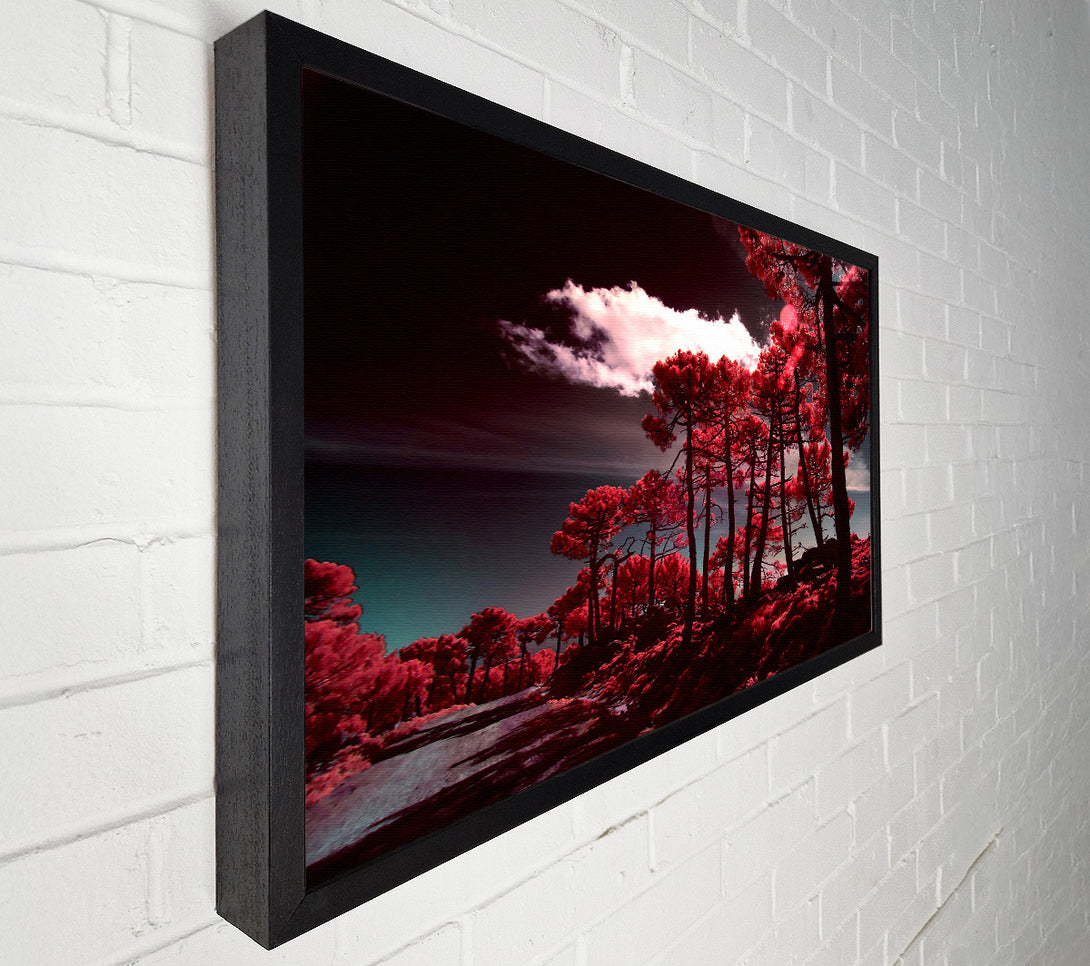  A Canvas Print of Crimson Forest Path Canvas Print