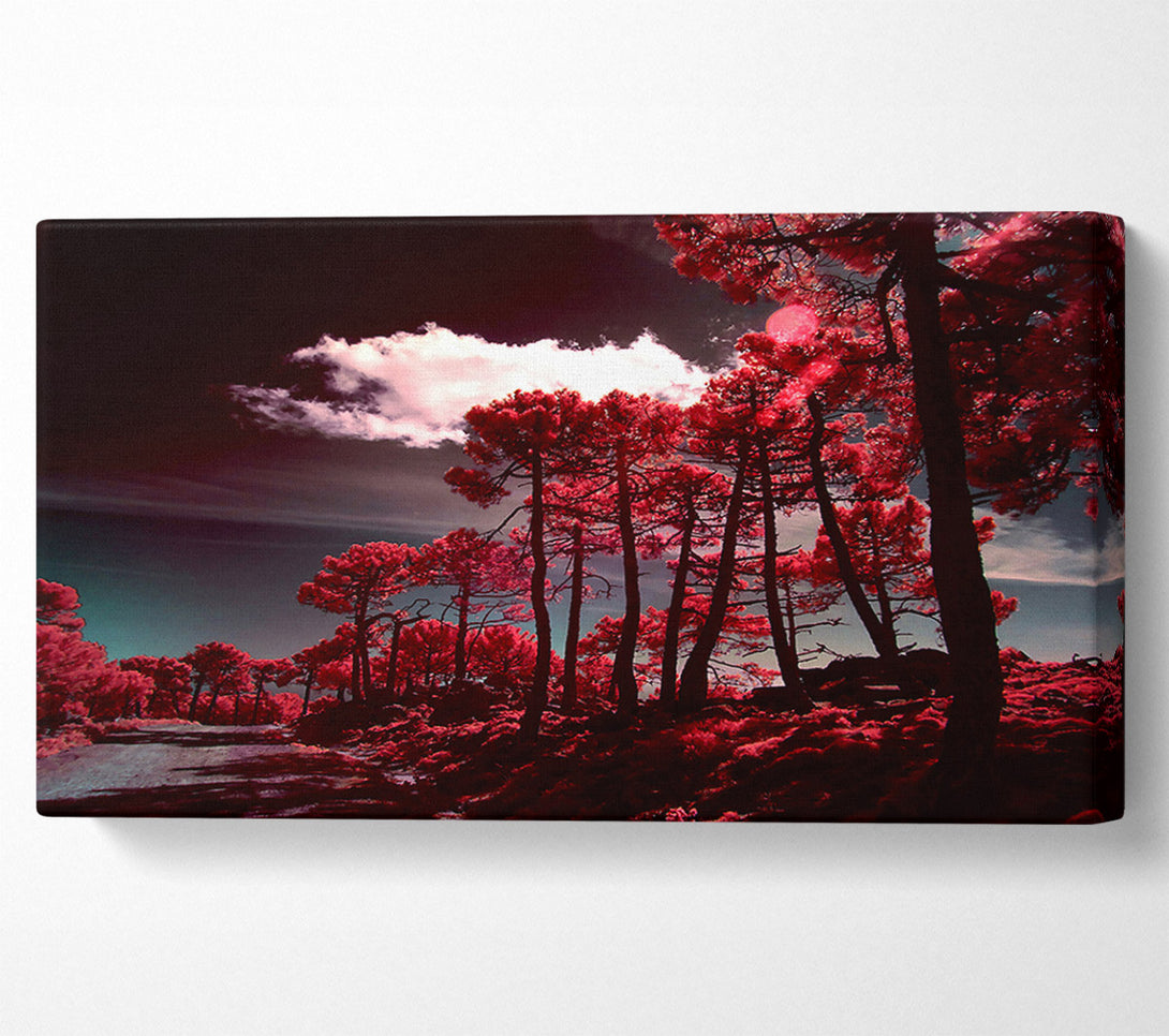  A Canvas Print of Crimson Forest Path Canvas Print