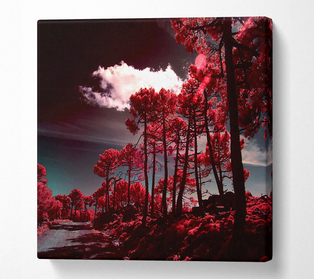  A Canvas Print of Crimson Forest Path Canvas Print